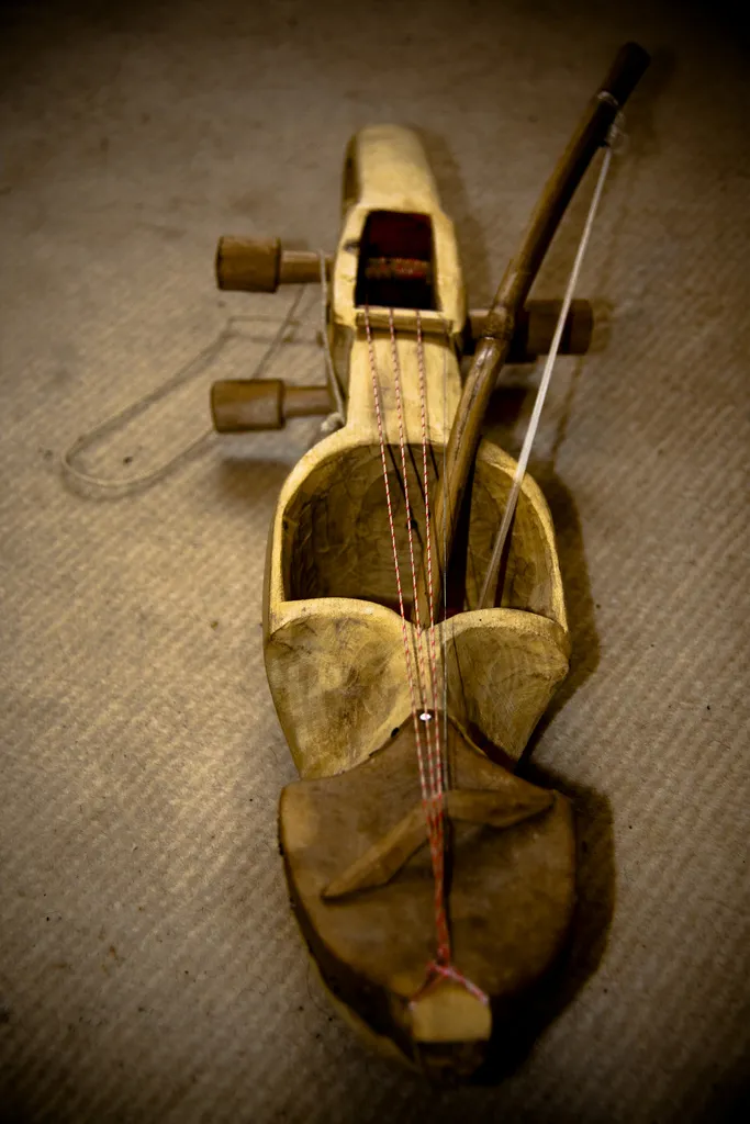 Handmade Sarangi Image